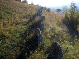 DSCN0383-1