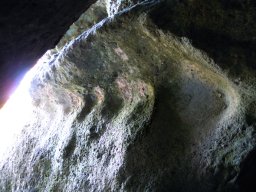 DSCN0412-1