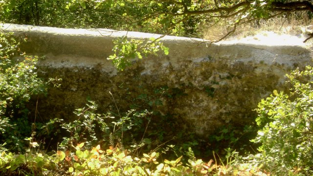 DSC02498-1