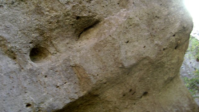 DSC02513-1