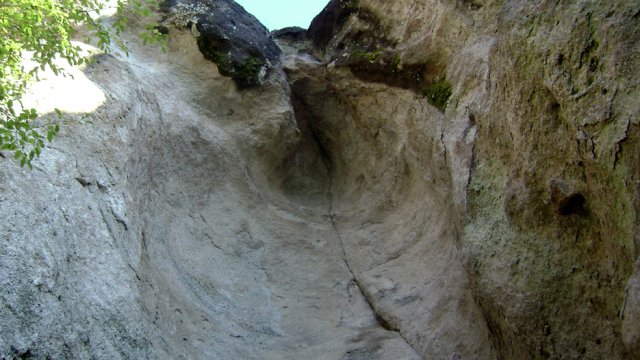 DSC02515-1