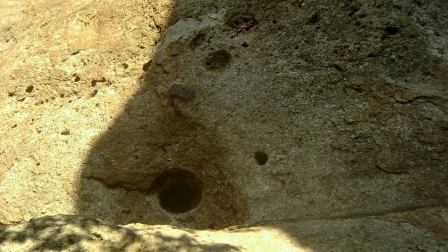 DSC02516-1