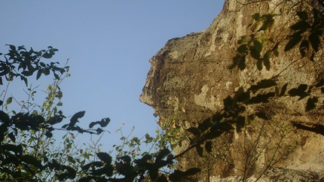 DSC02520-1