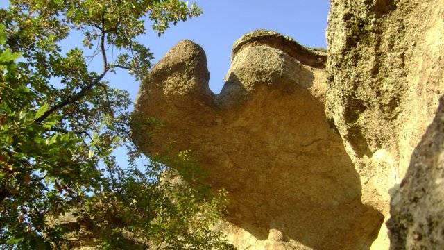 DSC02523-1~0