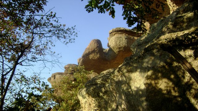 DSC02526-1~0