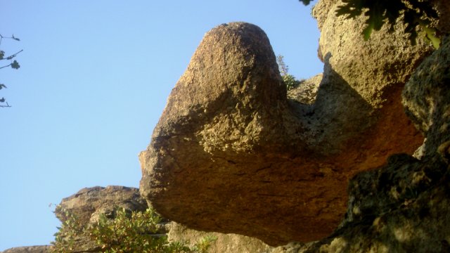 DSC02531-1~0