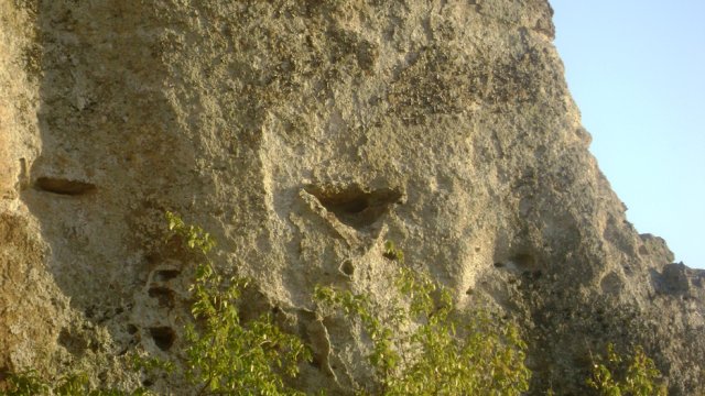 DSC02532-1