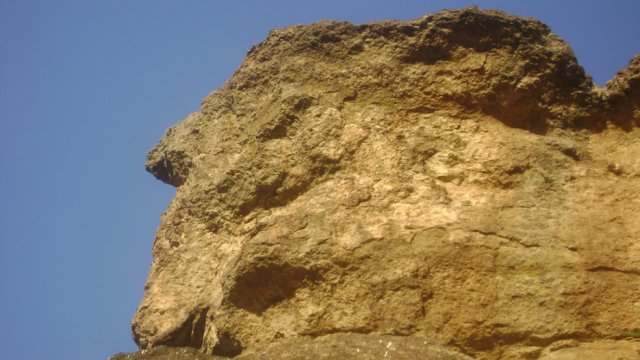 DSC02533-1