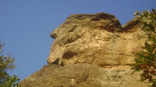 DSC02534-1