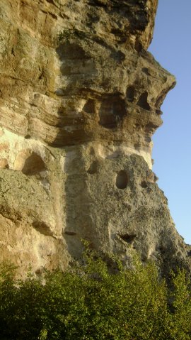 DSC02535-1