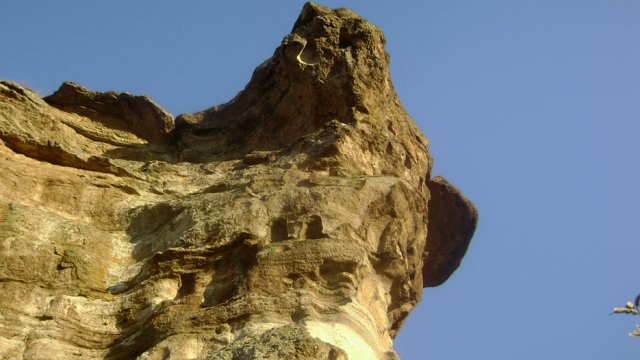 DSC02536-1