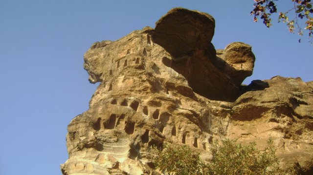 DSC02545-1
