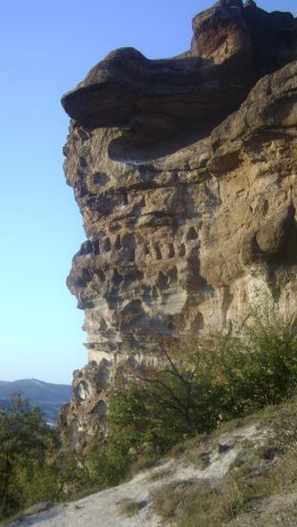 DSC02556-1