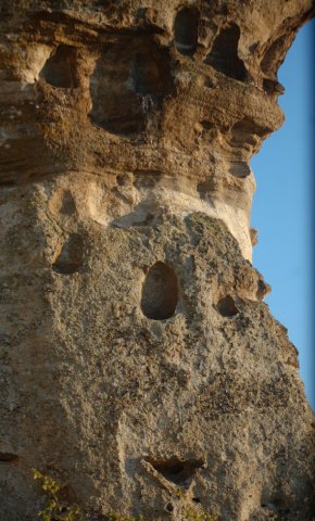 DSC_2016-1