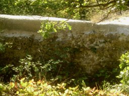 DSC02498-1