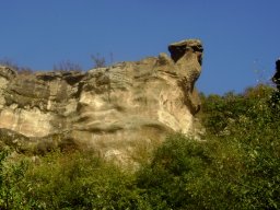 DSC02500-1