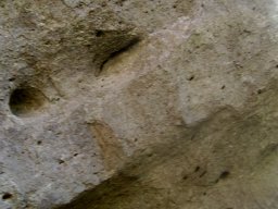 DSC02513-1