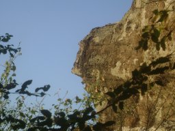 DSC02520-1~0