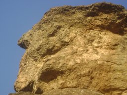 DSC02533-1