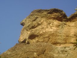 DSC02534-1
