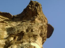 DSC02536-1