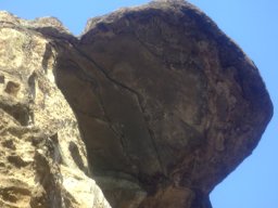 DSC02543-1