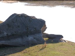 DSC_1993-1
