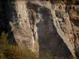 DSC_2000-1