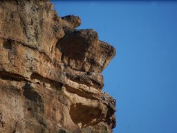 DSC_2002-1~0