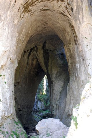 DSC_8331-1