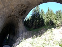 DSC_8329-1