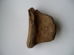 P2190215-1