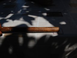 DSC_7492