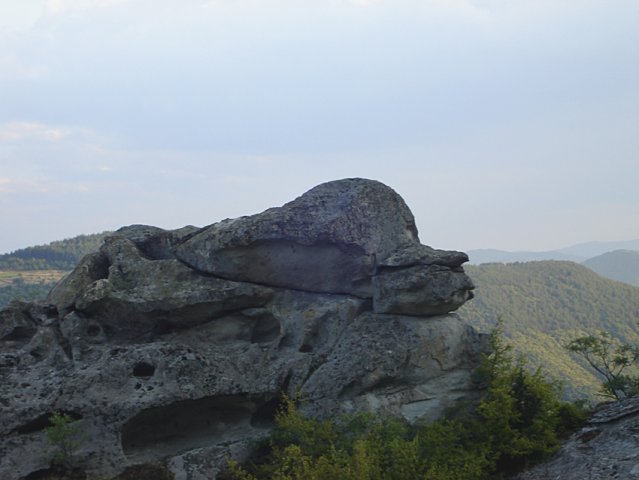 DSC01466-1