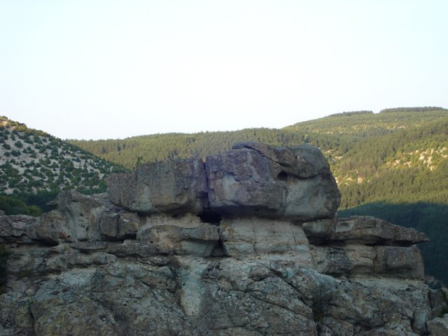 DSC01480-1
