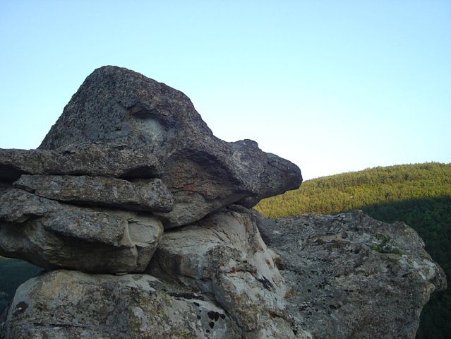DSC01491-1