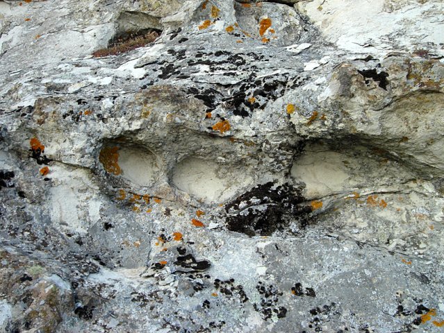 DSC01501-1