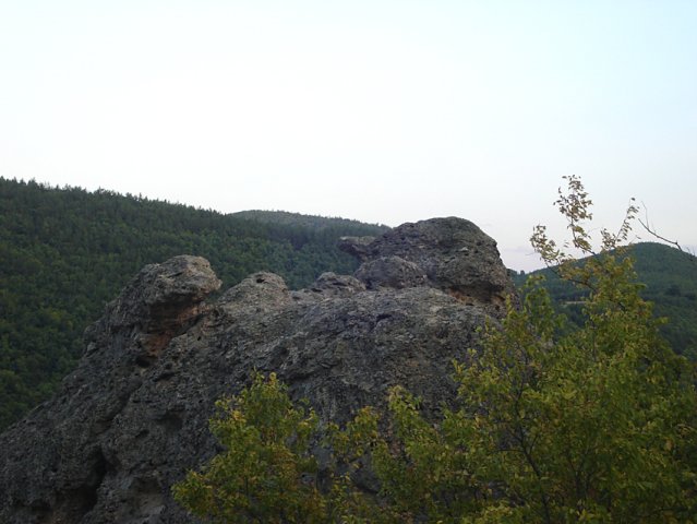 DSC01594-1