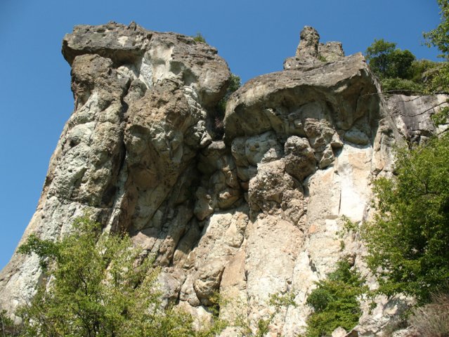 luvska glava-1