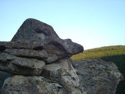 DSC01491-1