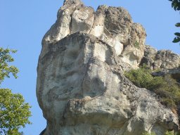 DSC01632-1