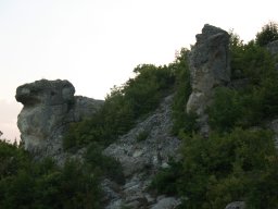 ovena2