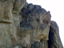 P8070268-1