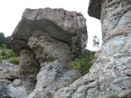 pazitelte~0