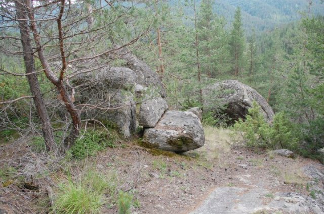 tronut1