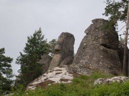 kvachkata4