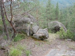 tronut1