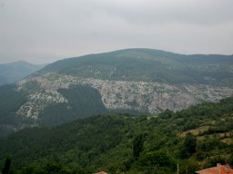 DSC_6986-1