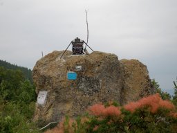 DSC_6990-1