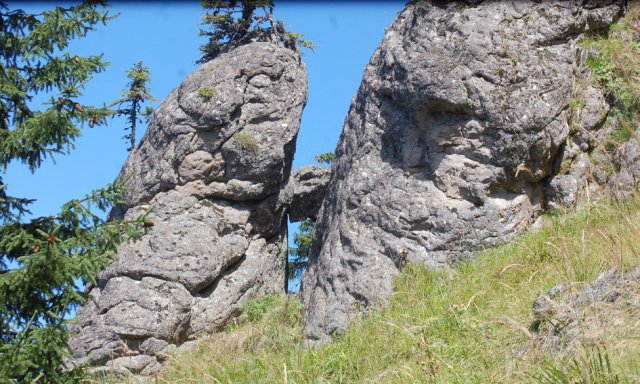 DSC_1012-1